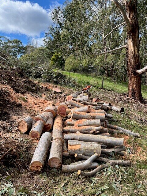 Evergreen Tree Services SA-Land Clearance 002