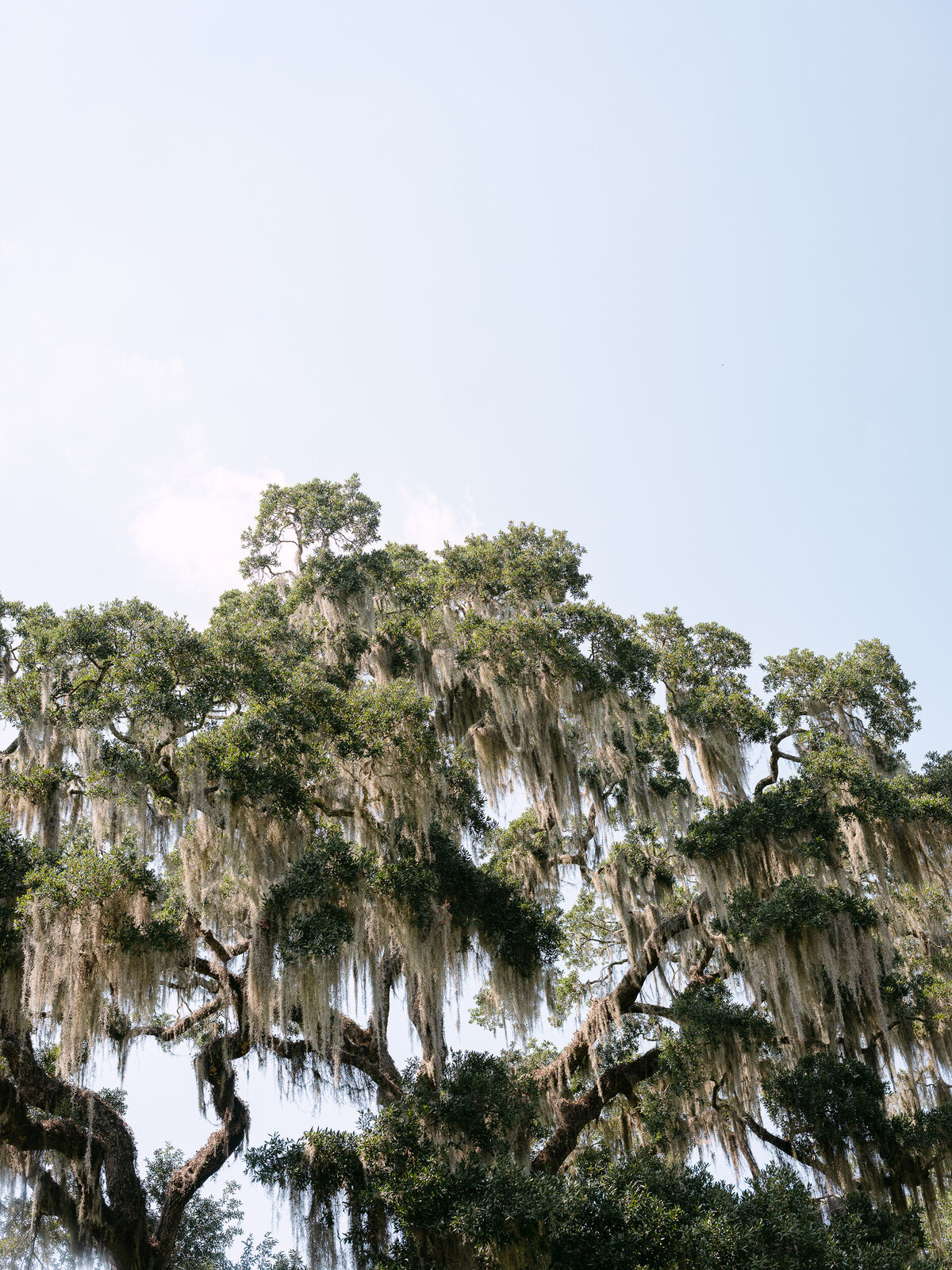 bluffton-wedding-photographer-montage-palmetto-bluff-13