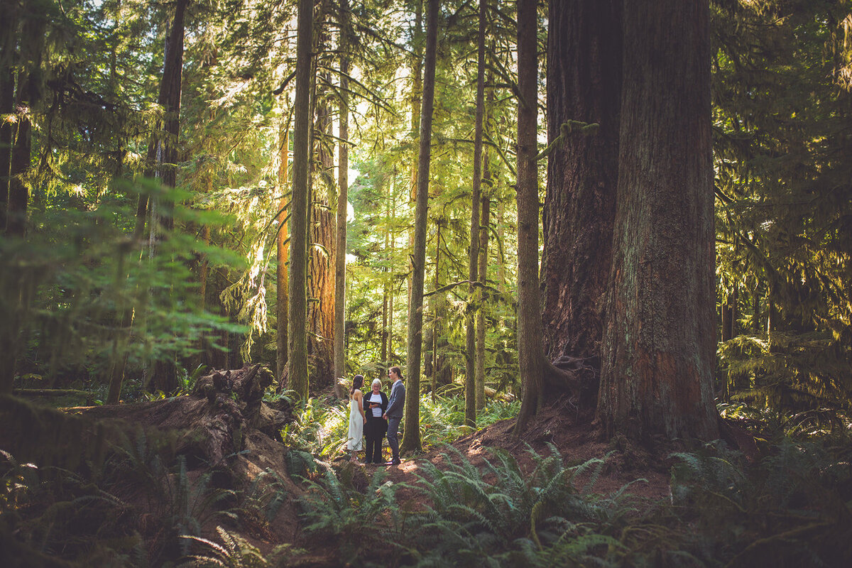 Photo of an elopement ceremony in Cathedral Grove on Vancouver Island