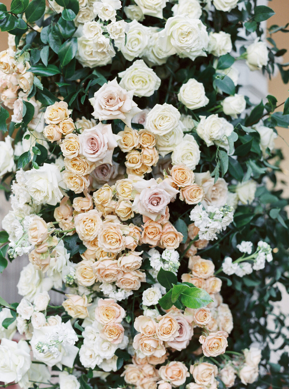 Darlington-House-La-Jolla-Wedding_357