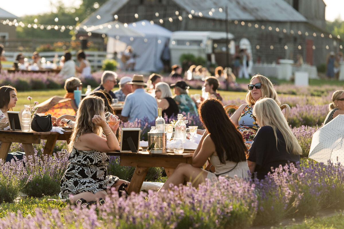 a photo of women sitting and enjoying charcuterie with the bar and twinkle lights in the background as part of Soiree in the Field.  Captured by Ottawa Event Photographer JEMMAN Photography COMMERCIAL