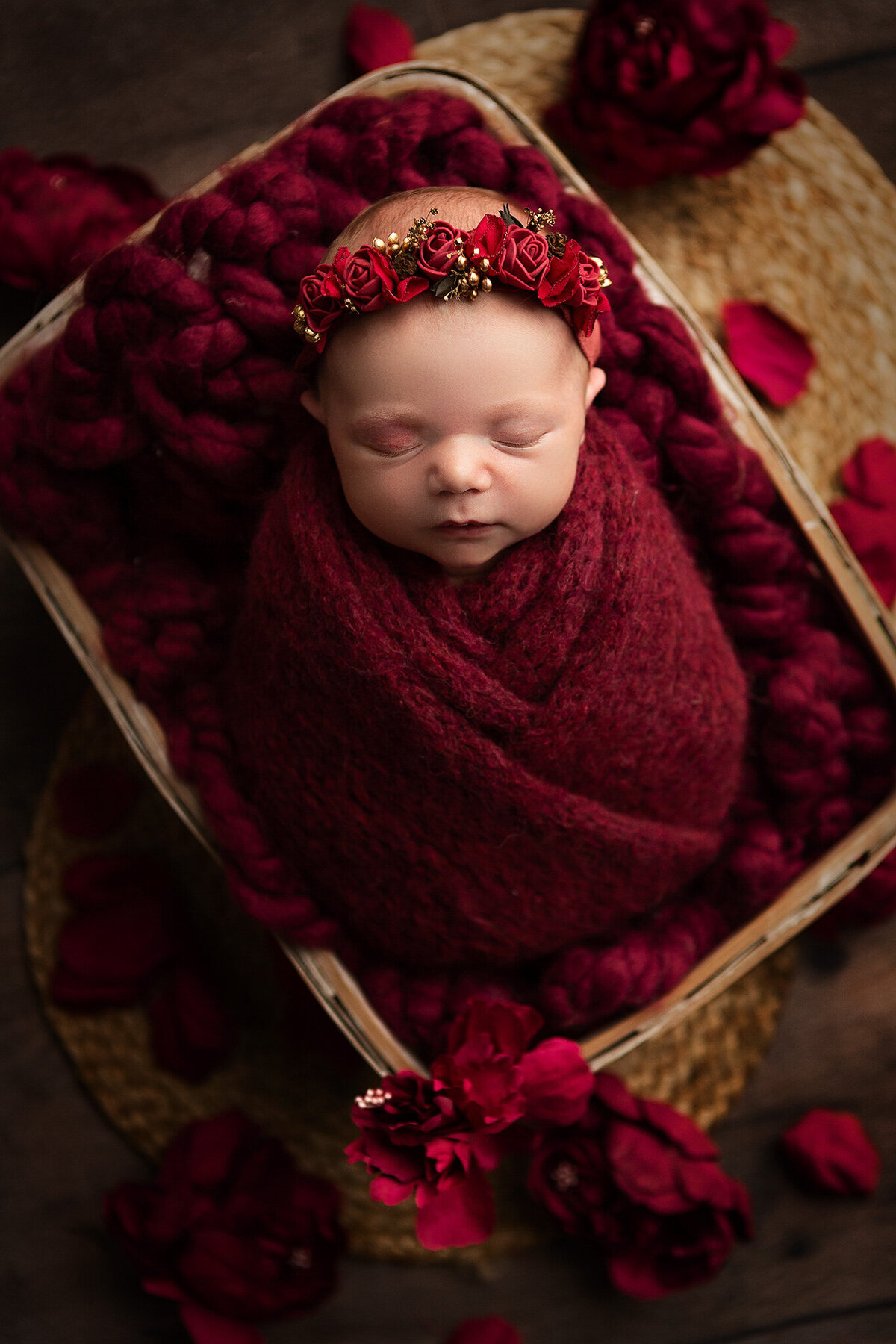 dayton-ohio-newborn-baby-photographer-baby-girl-swaddled-in-knit-burgundy-wrap-in-crate-surrounded-with-red-rose-petals-amanda-estep-photography