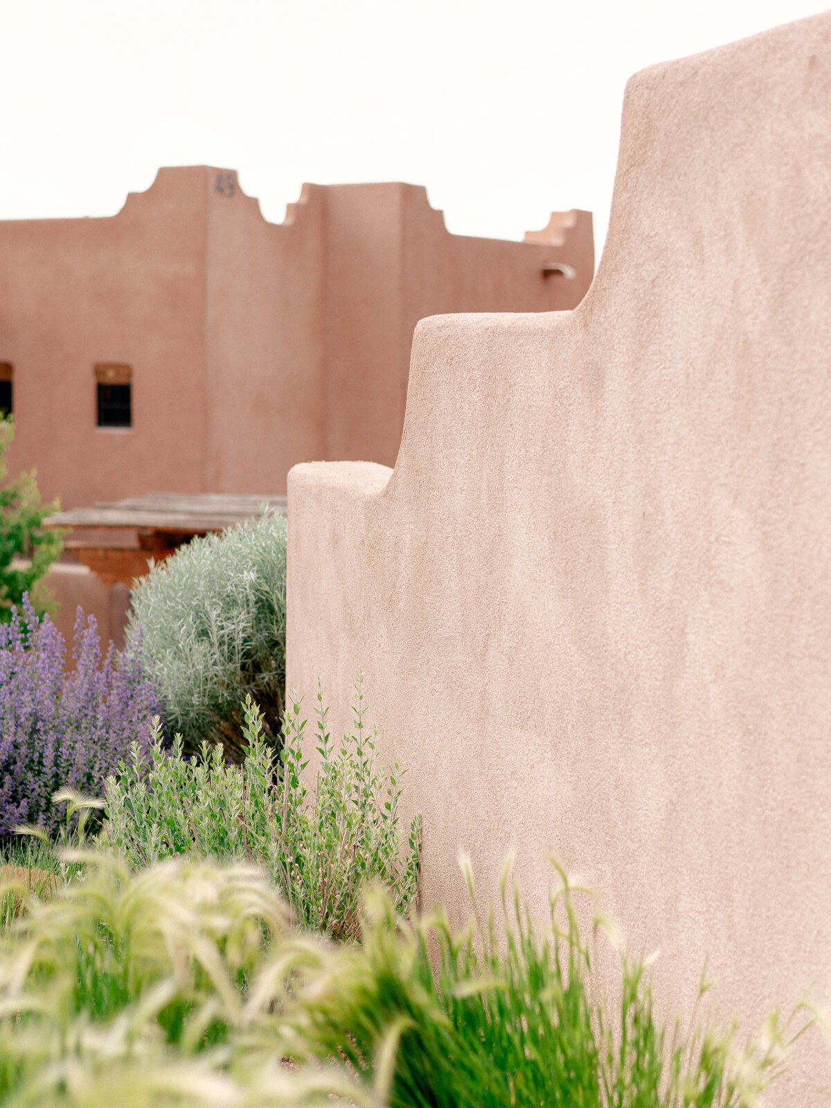 Bishop's Lodge Santa Fe Wedding 853