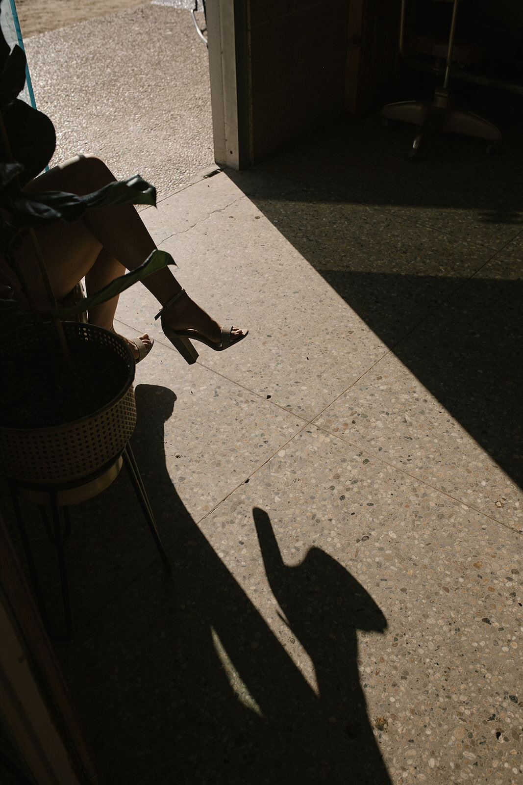 Cierra_Roman_Dos_Pueblos_Orchid_Farm_Santa_Barbara_Sophie_Berard_Photography-359