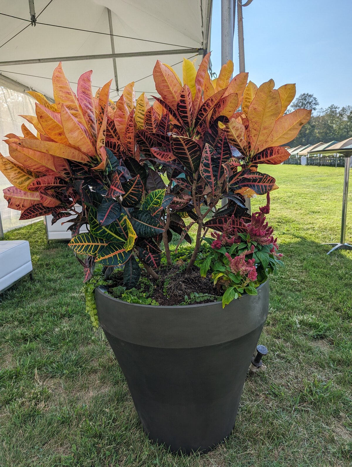 PXL_20230908_213911859