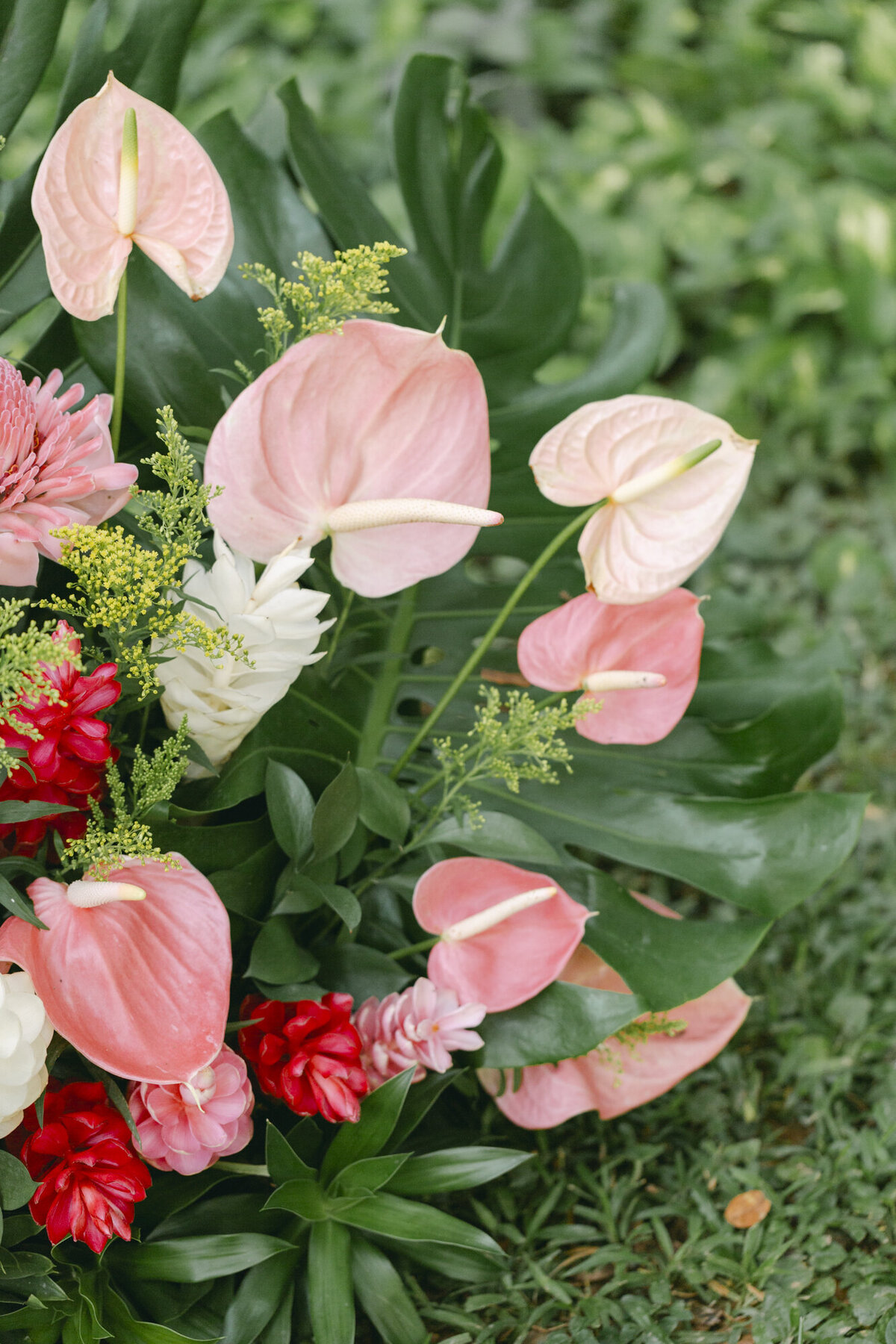 PERRUCCIPHOTO_BELIZE_DESTINATION_WEDDING_98