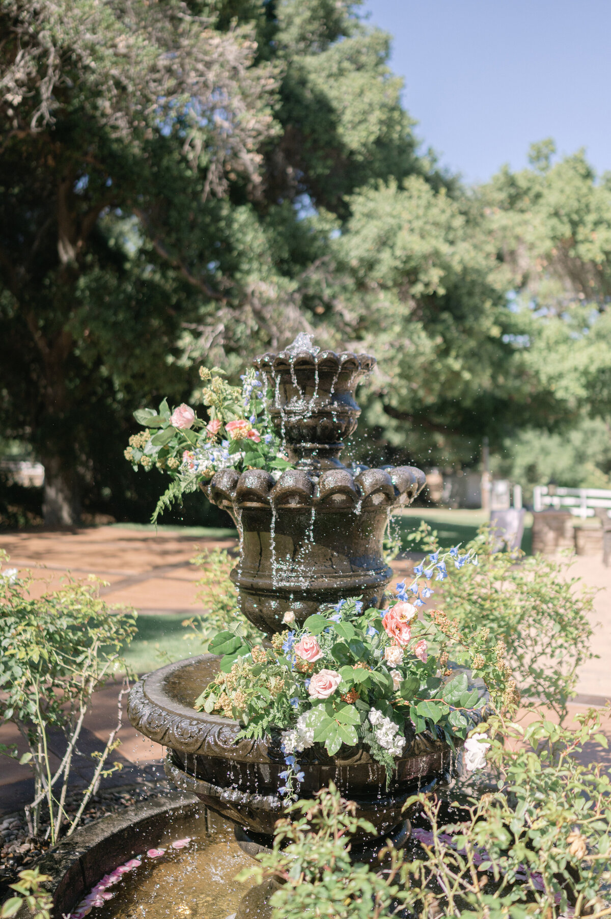 Angie & Brandon Circle Oak Ranch Wedding-Leah Black Photography-333
