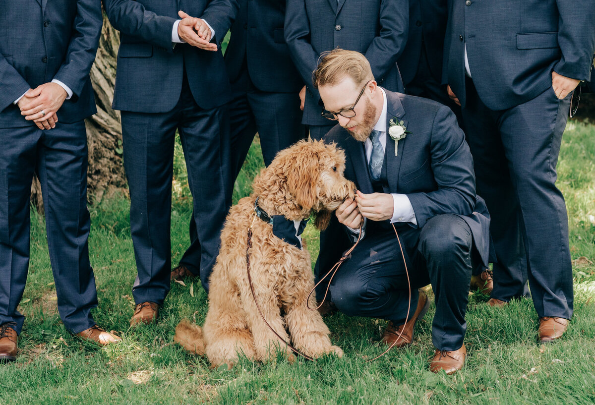 Groom and groomsmen pose with dog in tuxedo