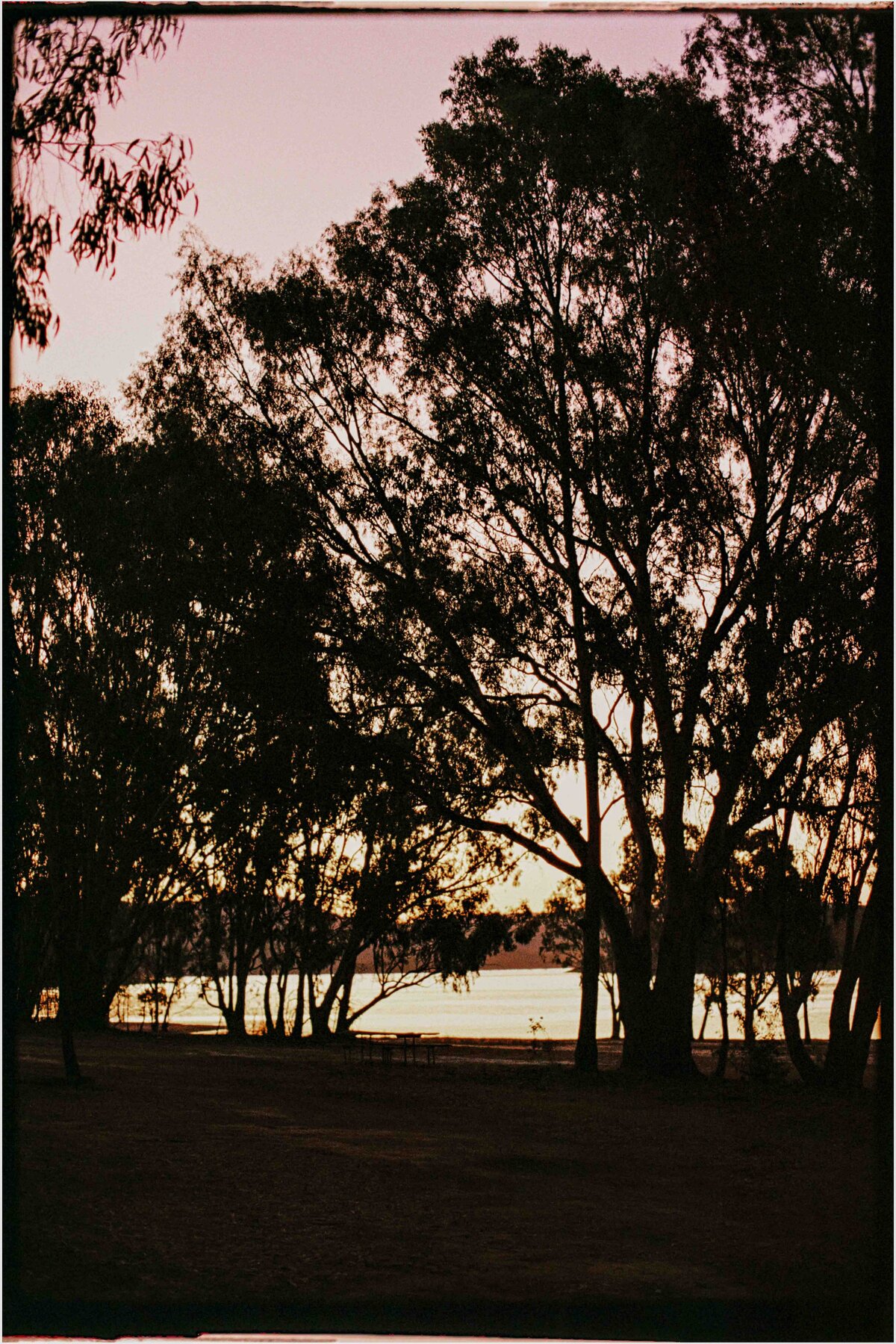 melbourne-burnt-creek-wedding-mansfield-1-11