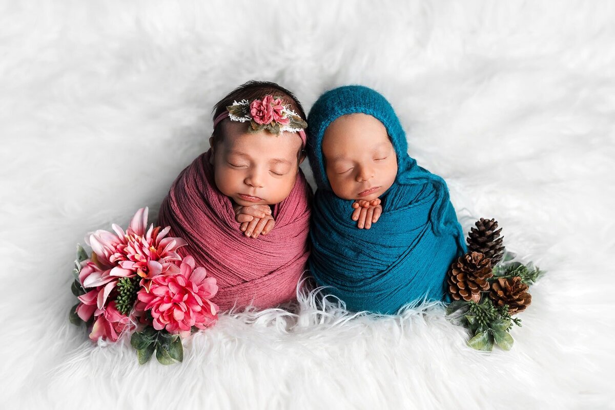 mobile-in-home-newborn-photography-vancouver-fraser-valley_newborn-twins-boy-girl-pink-blue-potato