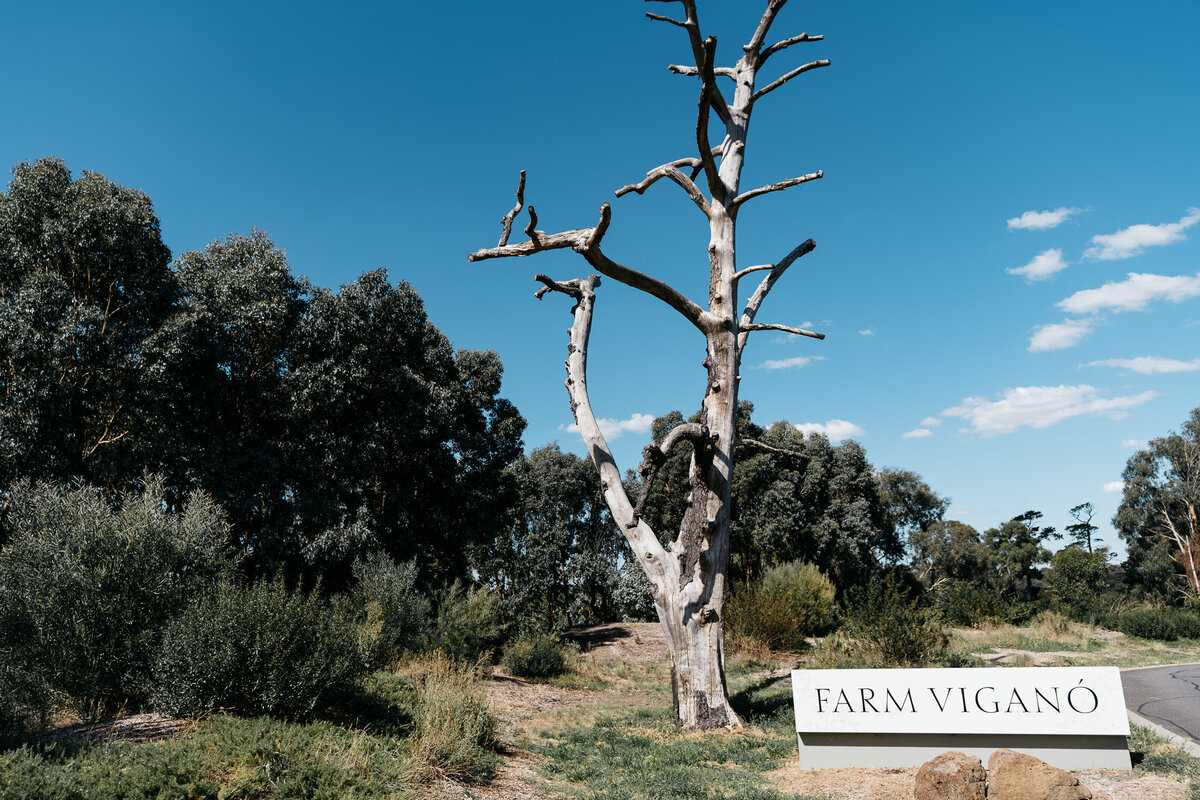 Courtney Laura Photography, Yarra Valley Wedding Photographer, Farm Vigano, Cara and Matthew Highlights-62