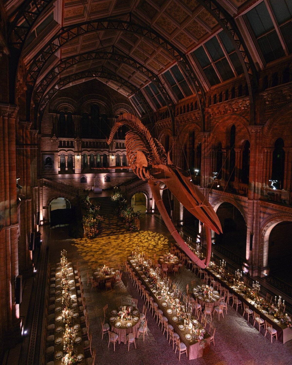 natural-history-museum-london-wedding-23