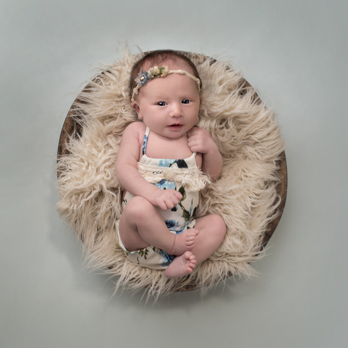 Sweet newborn portrait in furry bucket