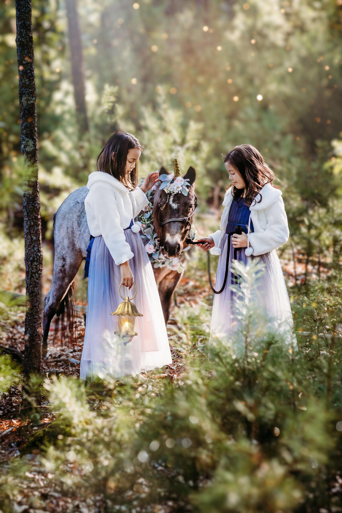 Boston-Family-Photographer-126