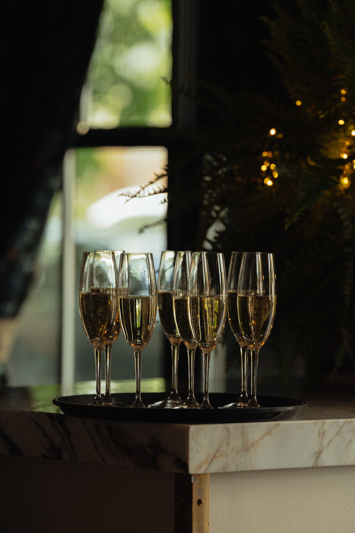 downtown-boise-idaho-intimate-wedding-hackwellphotoco-22