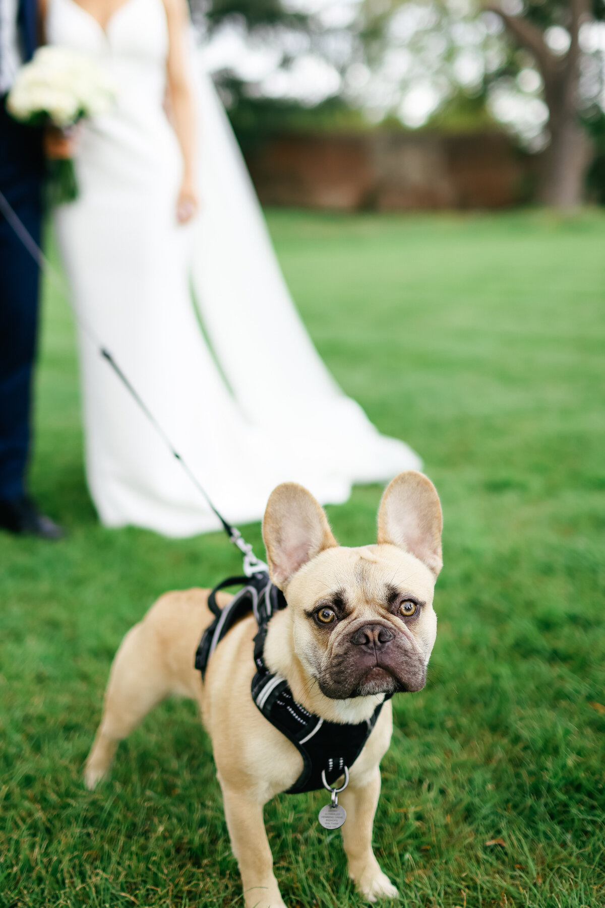L&GWedding-562