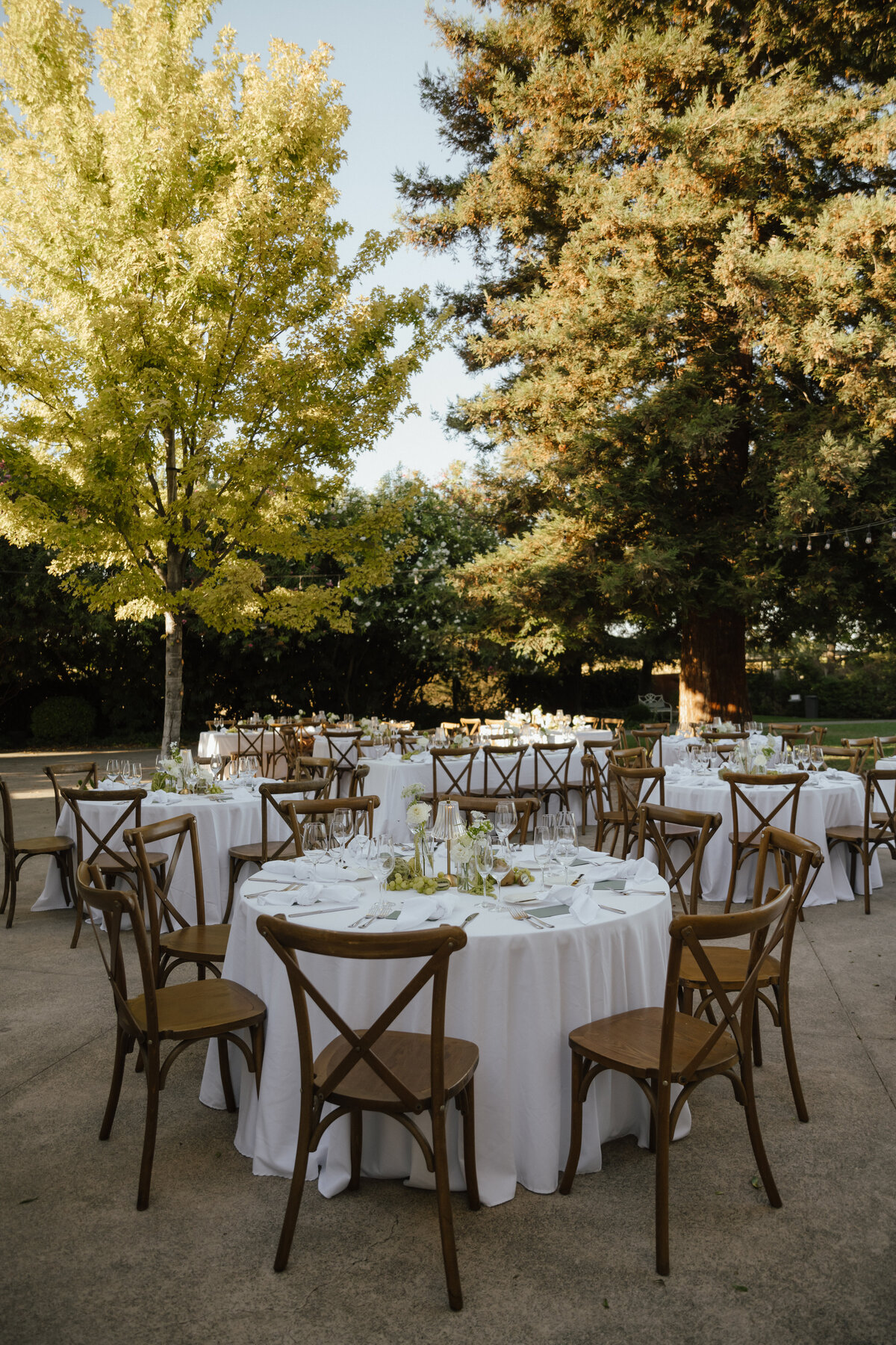 A&A-Park-Winters-wedding-california-karinasantosphotography-931