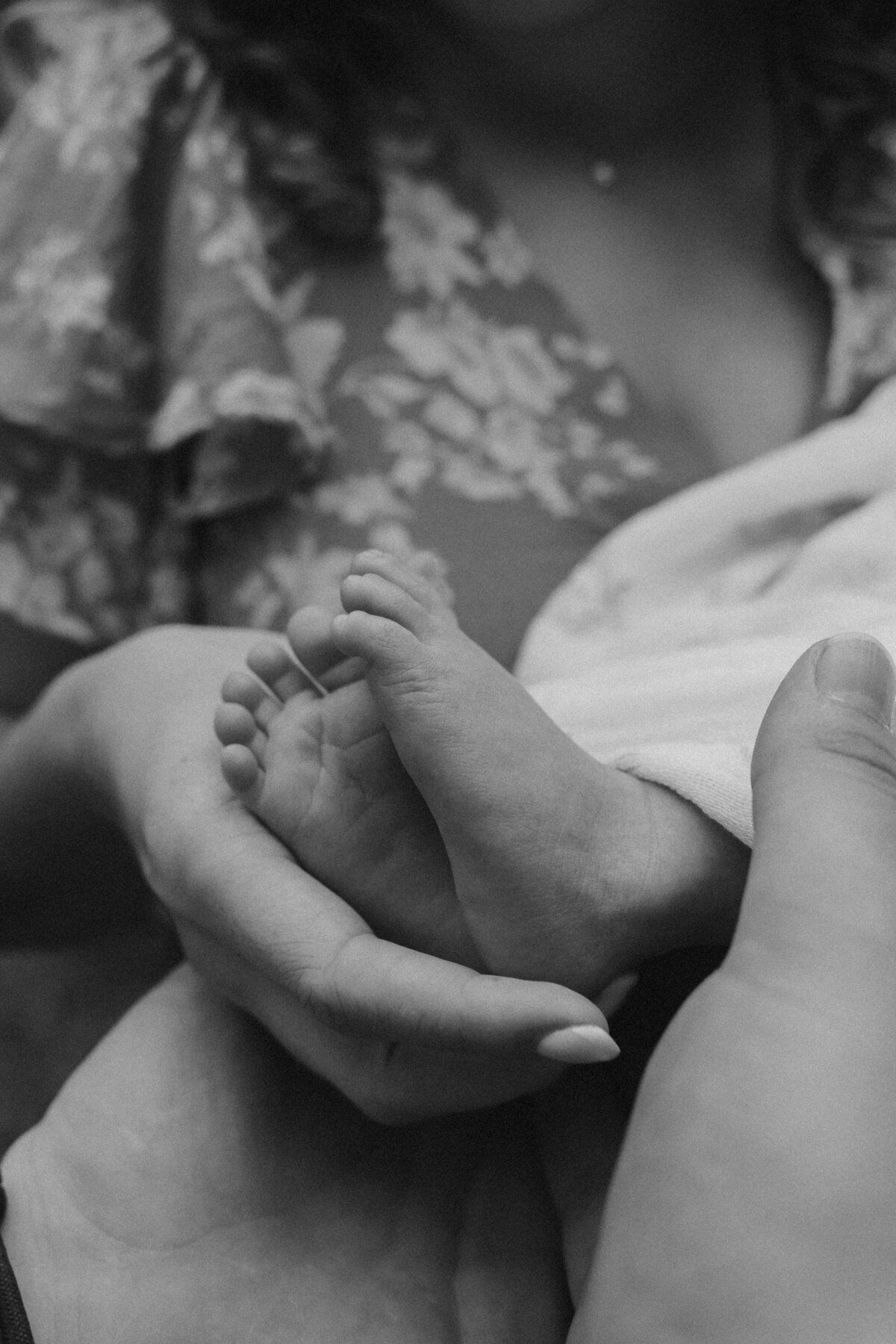 Black and White Close-Up of Parent Holding Newborn Baby Feet Indoors