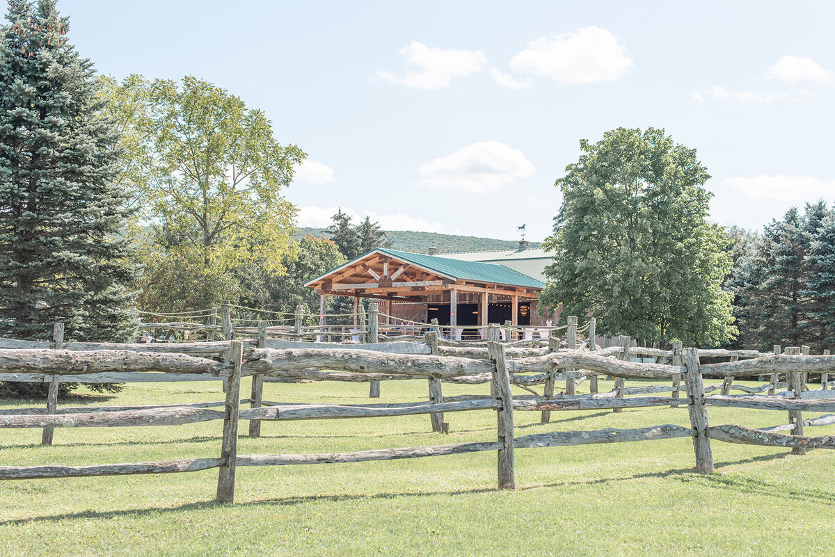 carmen-may-photography-pinerock-farm-wedding-champion-pa-12