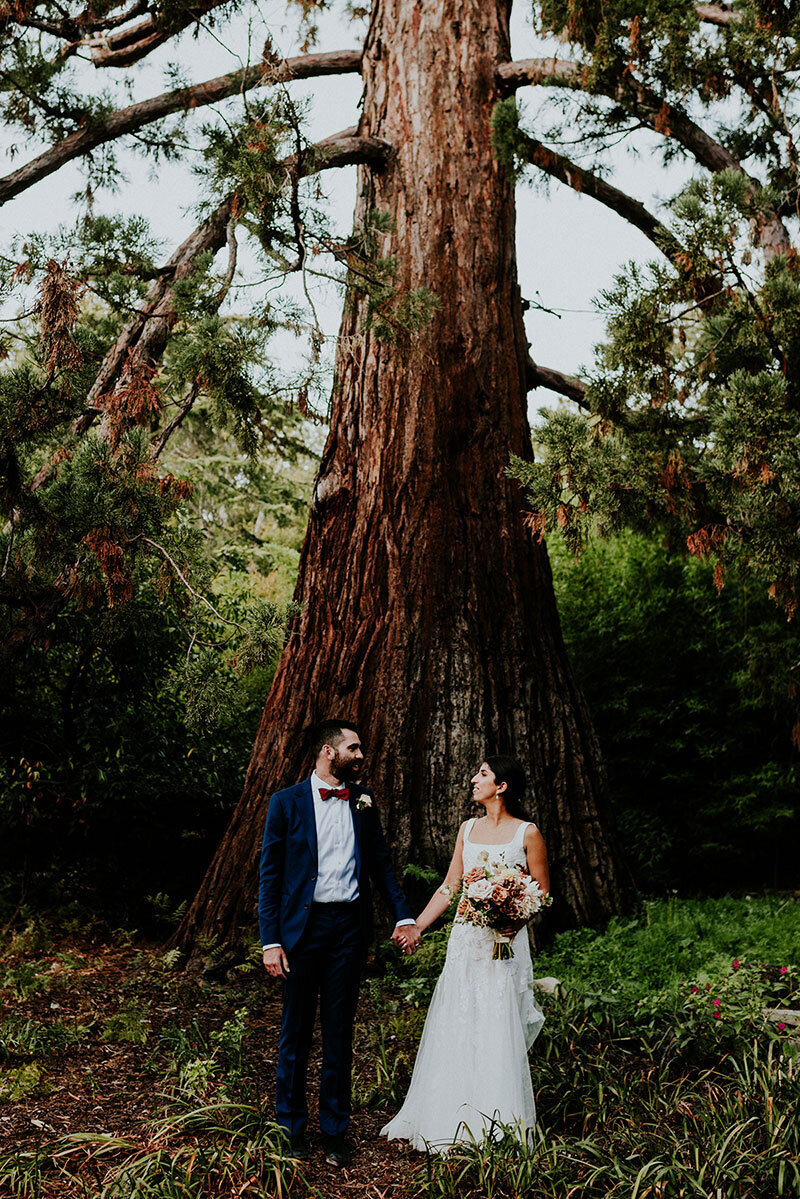 marin-art-garden-center-wedding-redwood