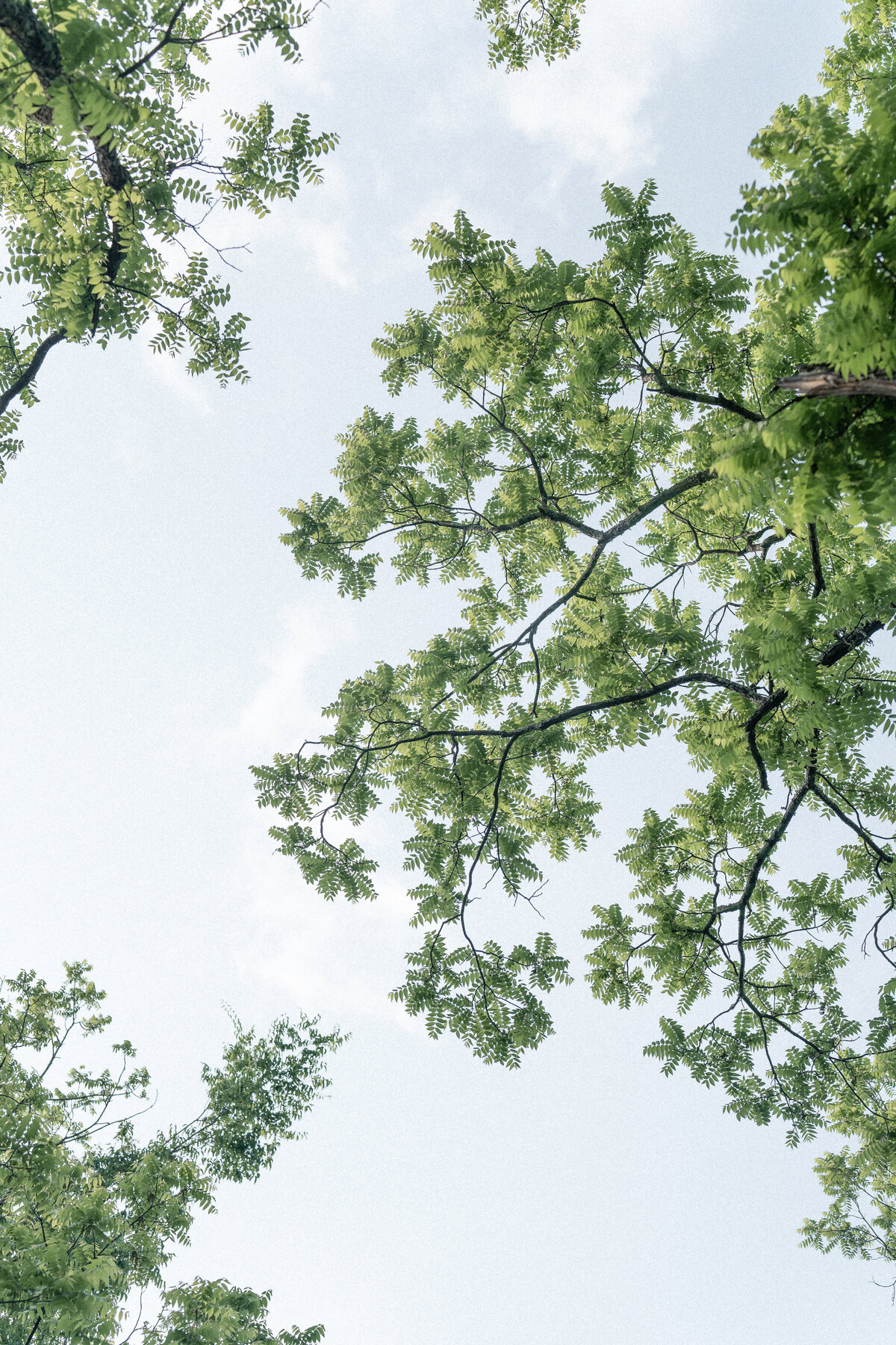 Virginia Wedding Photographer Hannah Malloy-34
