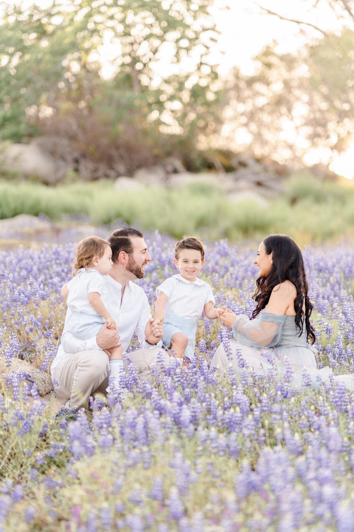 Family dressed in grey and soft blue tones sit in a field of lupine flowers laughing together photographed by Bay area photographer, Light Livin Photography.