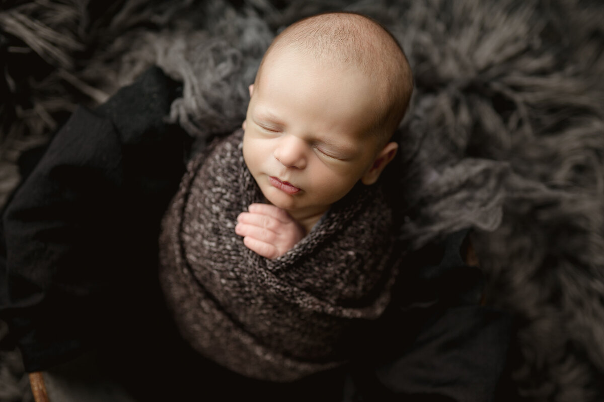 Draco Newborn-20