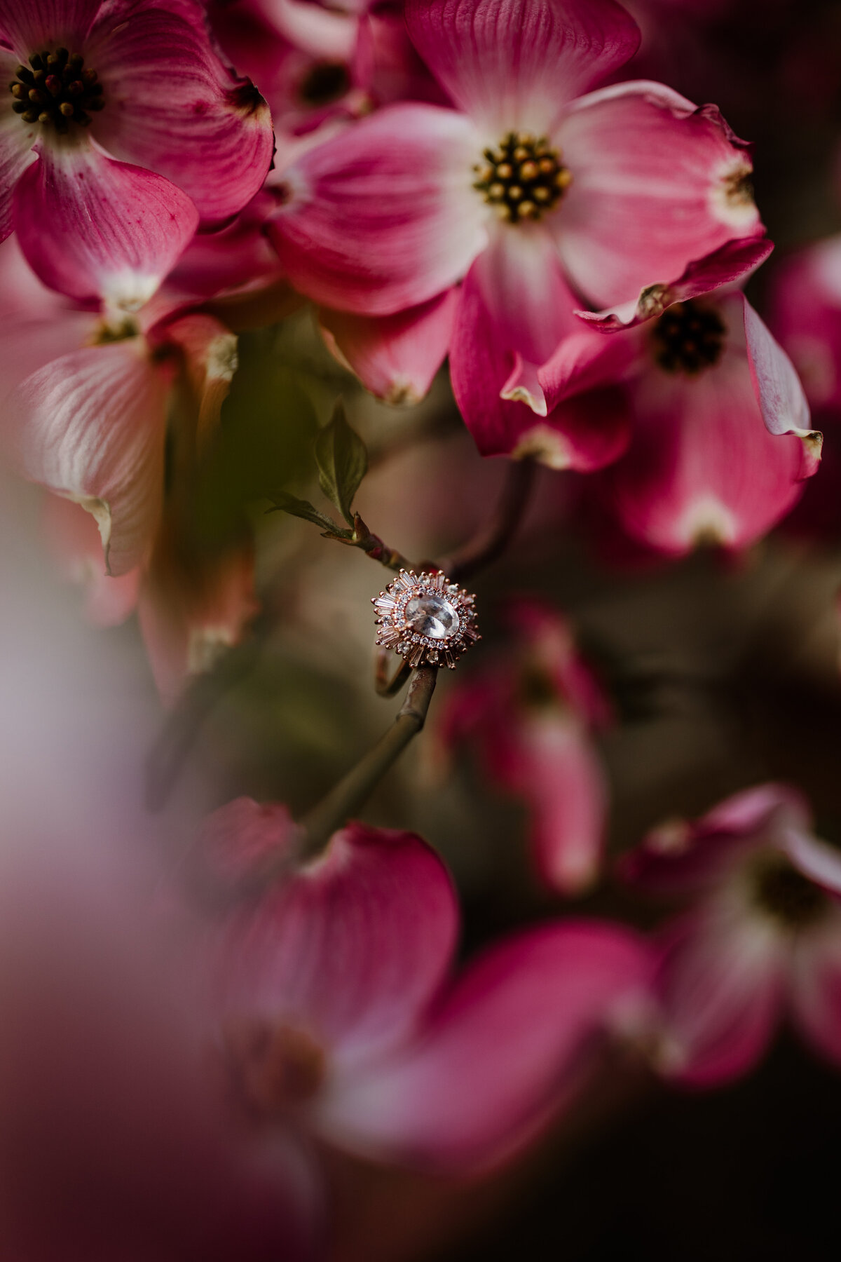 meg-thompson-photography-indianapolis-engagement-session-kelly-chris-21