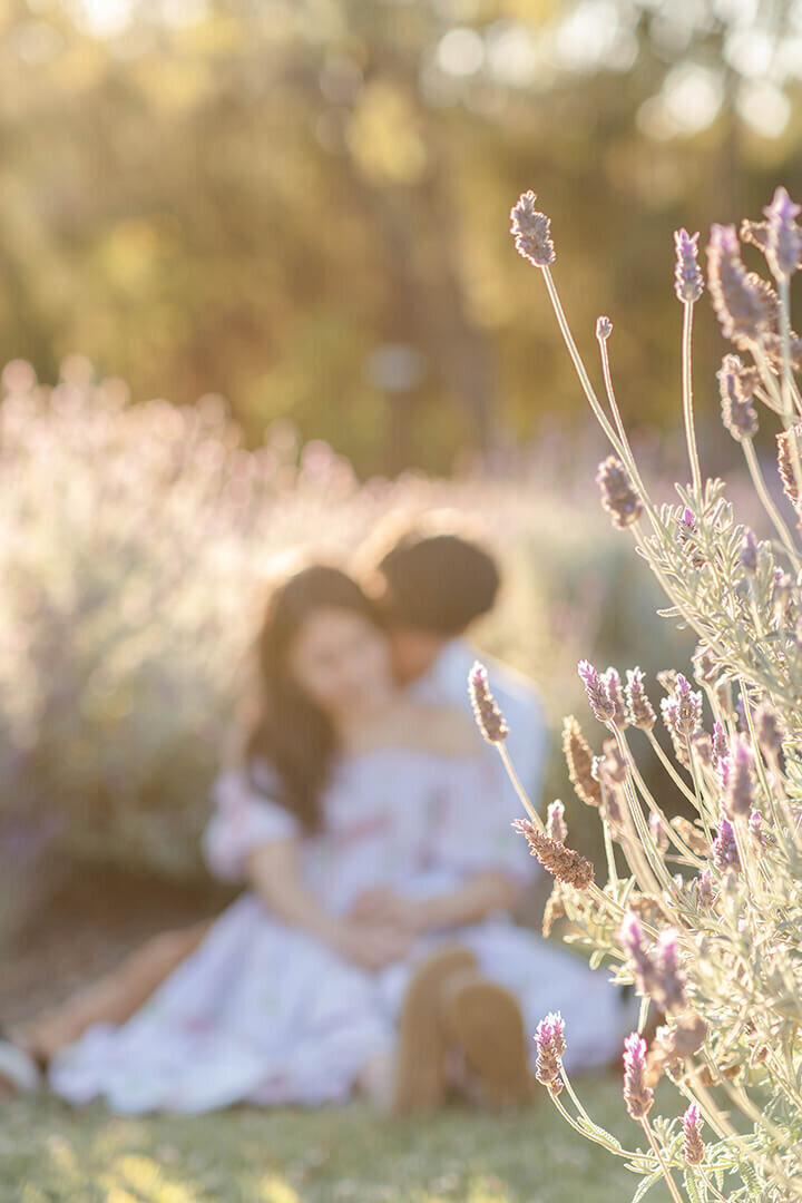 Couple in lavender field by Isabelle Hikari, a Brisbane engagement photographer