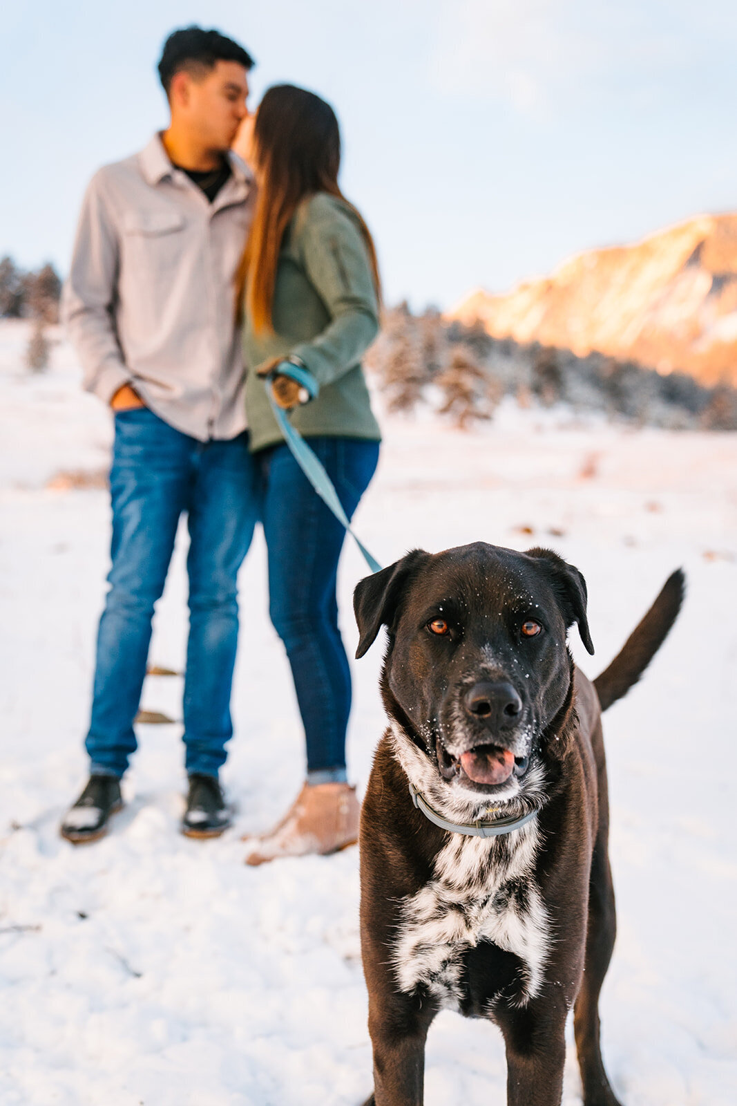 20240326-060206-brandi + Gianluca_Abby-Shepard-Photography-Colorado-Wedding-Photographer-