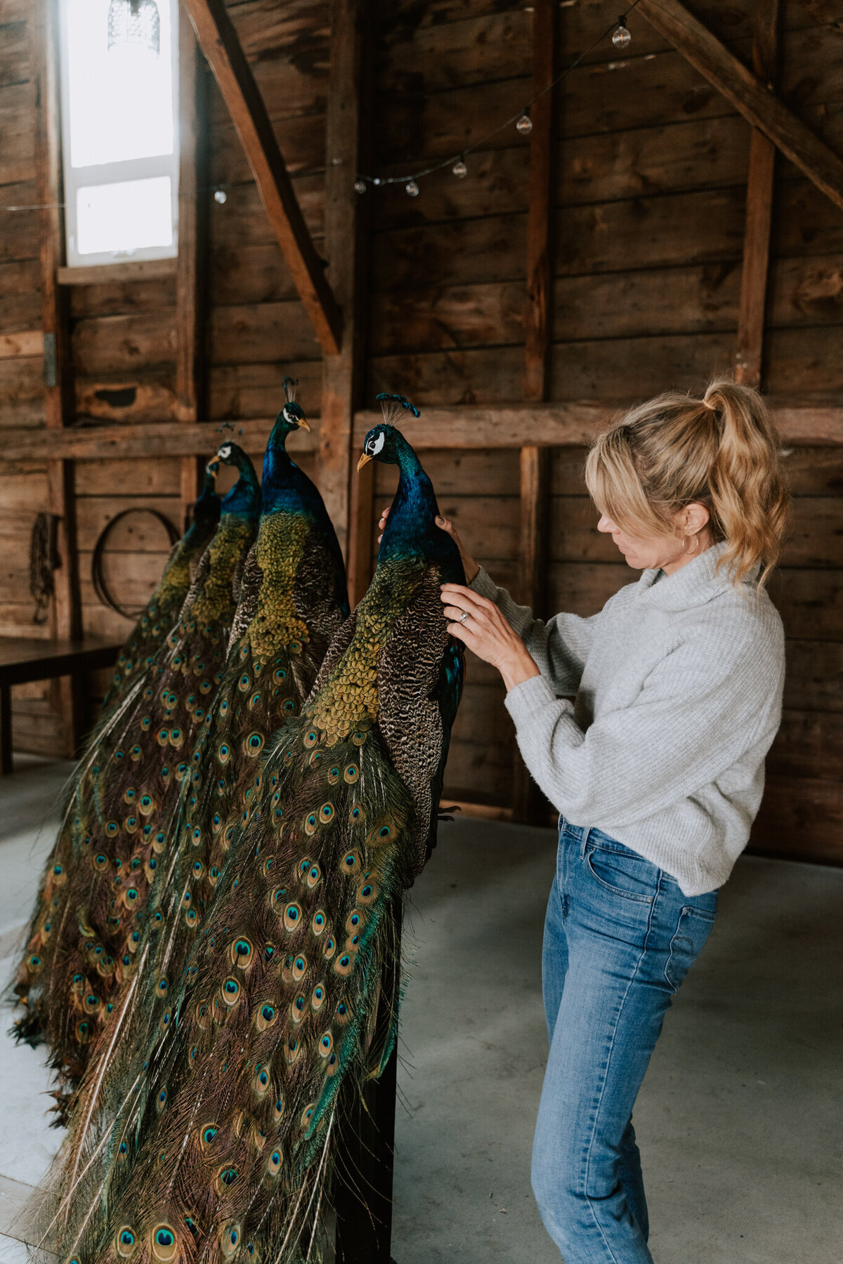 Taxidermy Chick Web-38