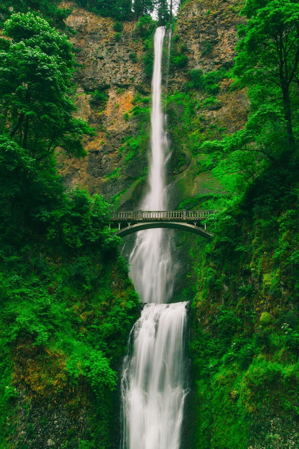 waterfall-bridge-lush-green-forest-scenic-view
