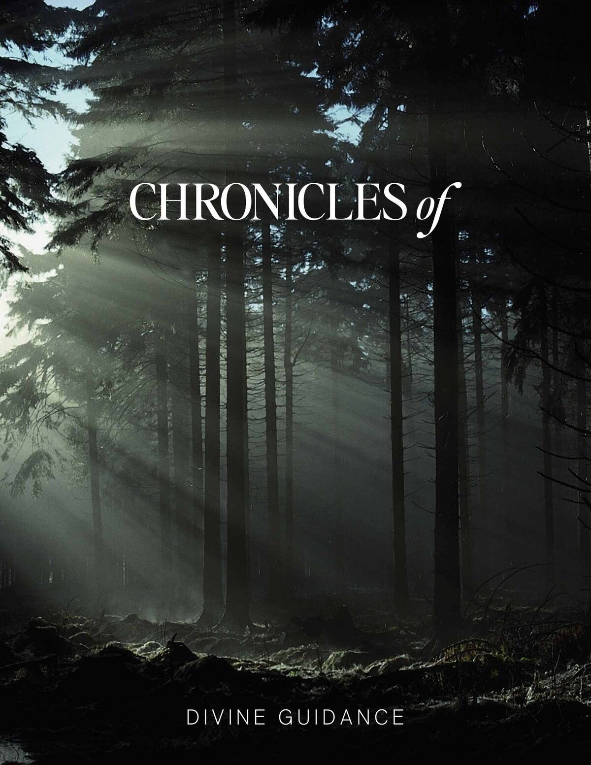 Chronicles of Divine Guidance