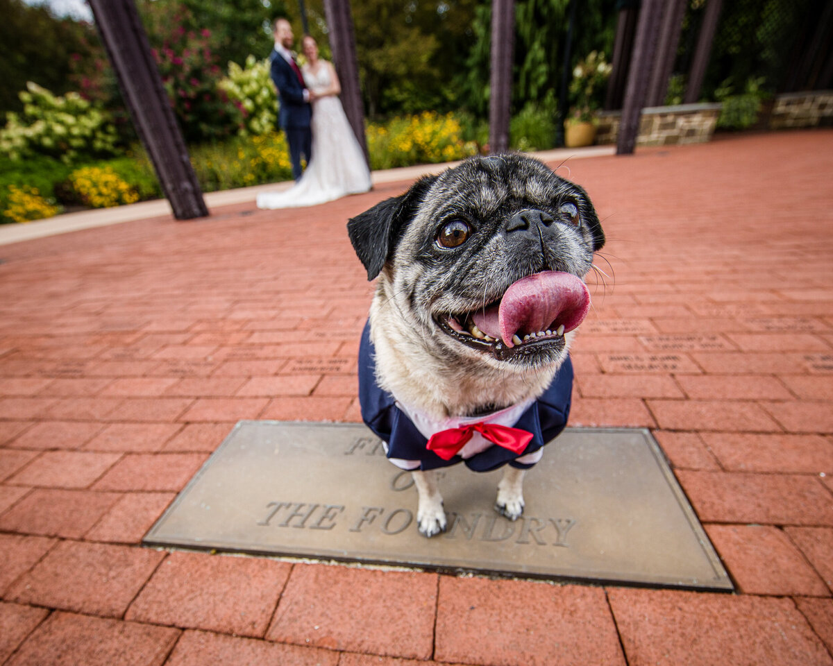 FoxBrazen_DesiderioWedding_3948a