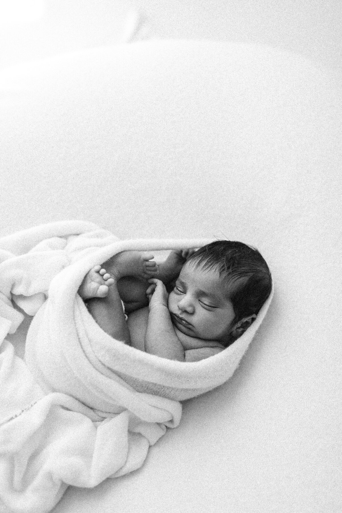 Black and white portrait of newborn baby 