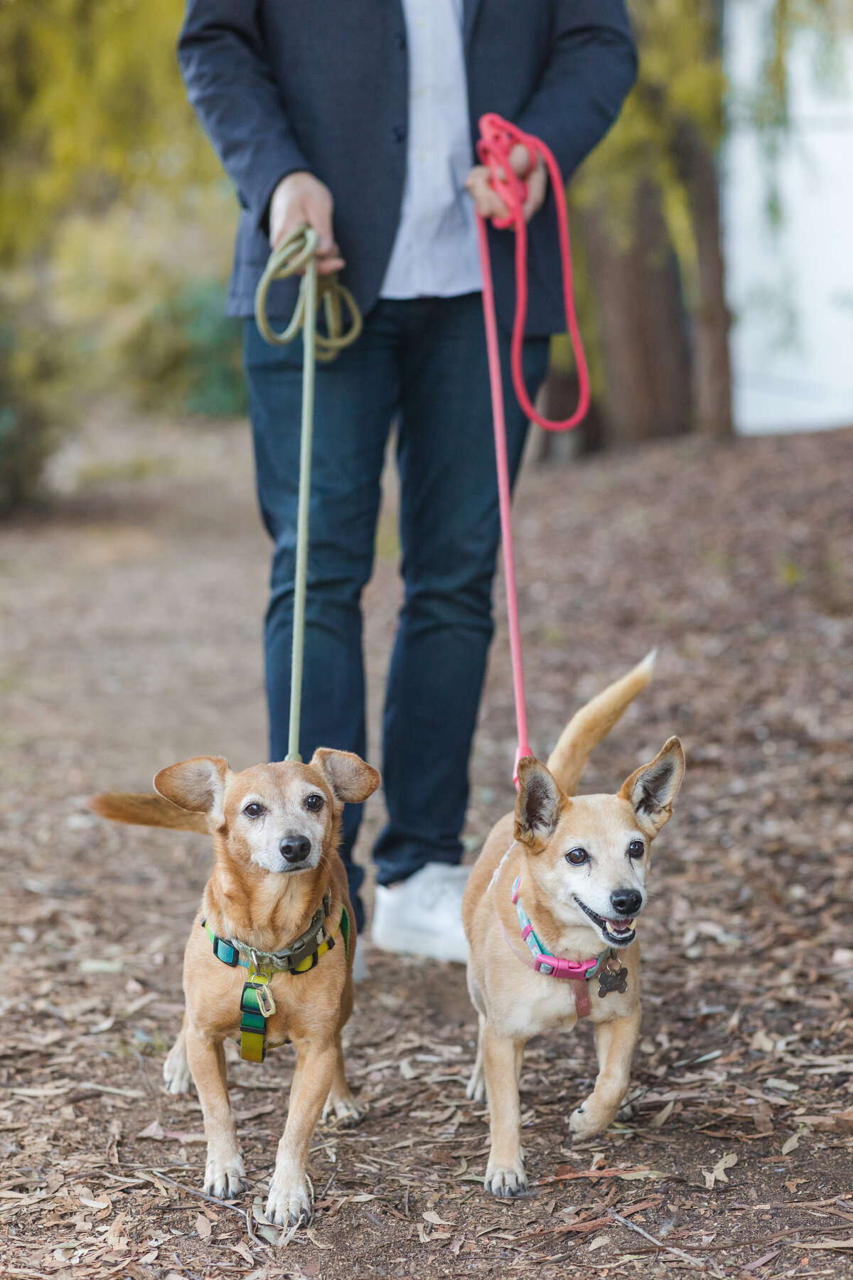 colorful-ernie-howlett-park-family-portraits-1