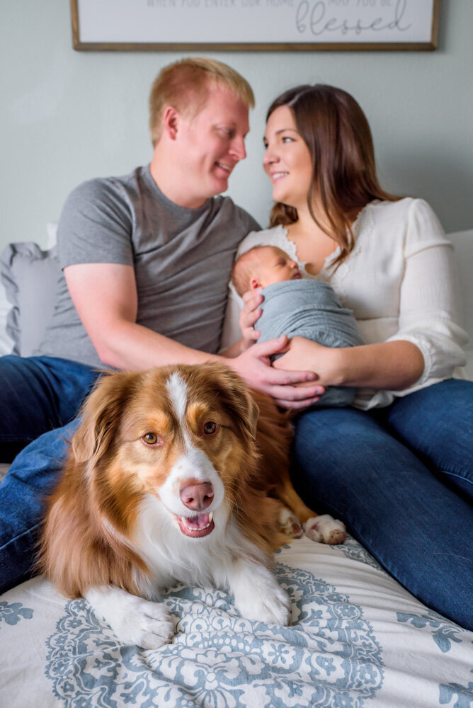 denver-new-baby-in-home-session-on-bed-dog