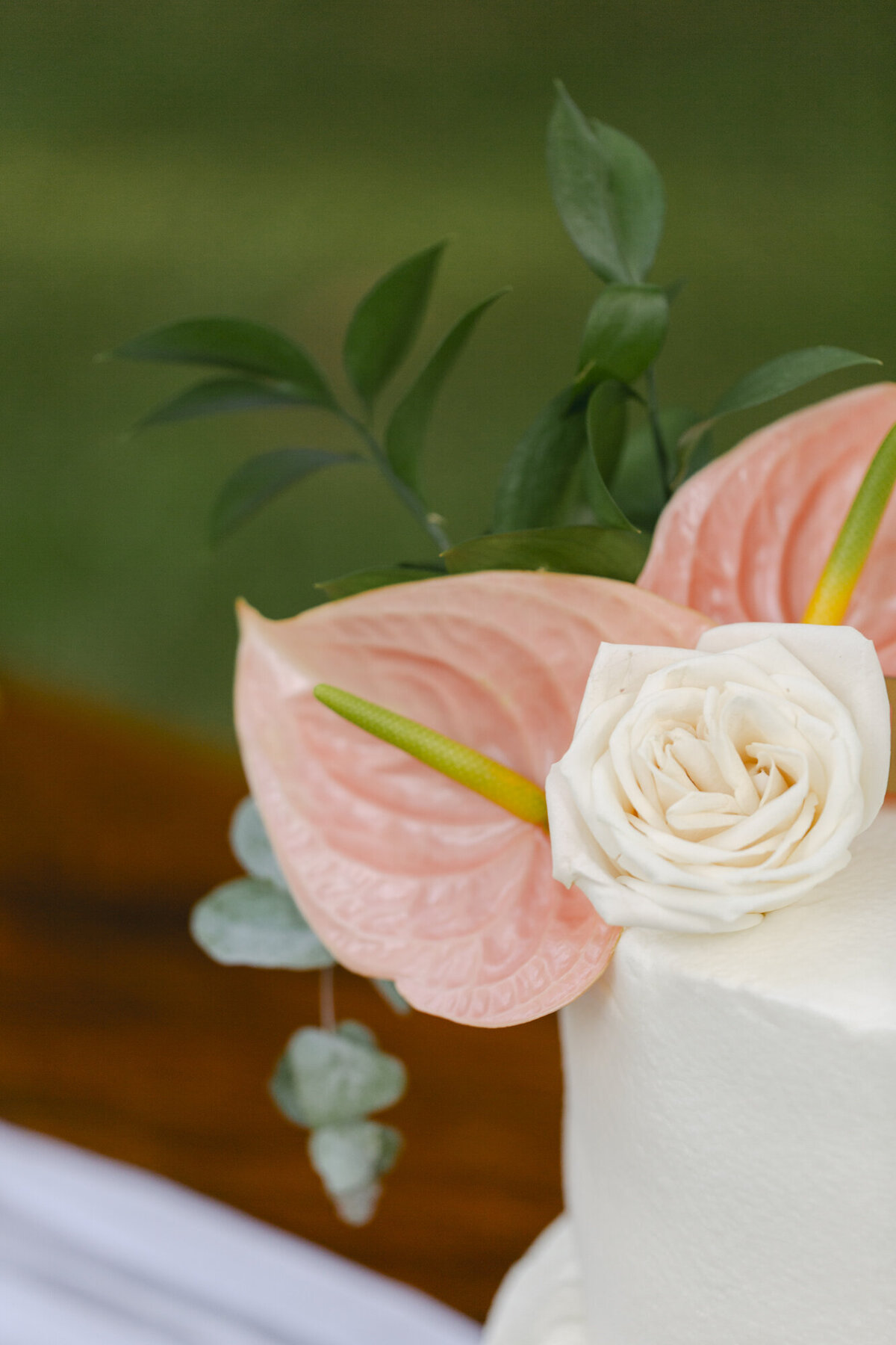 PERRUCCIPHOTO_BELIZE_DESTINATION_WEDDING_177