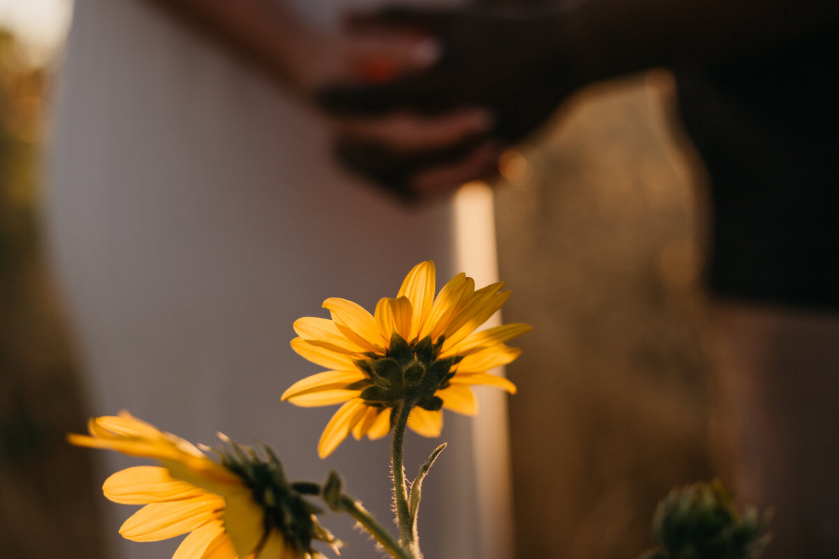 Sunflowers with couple holding hands in background