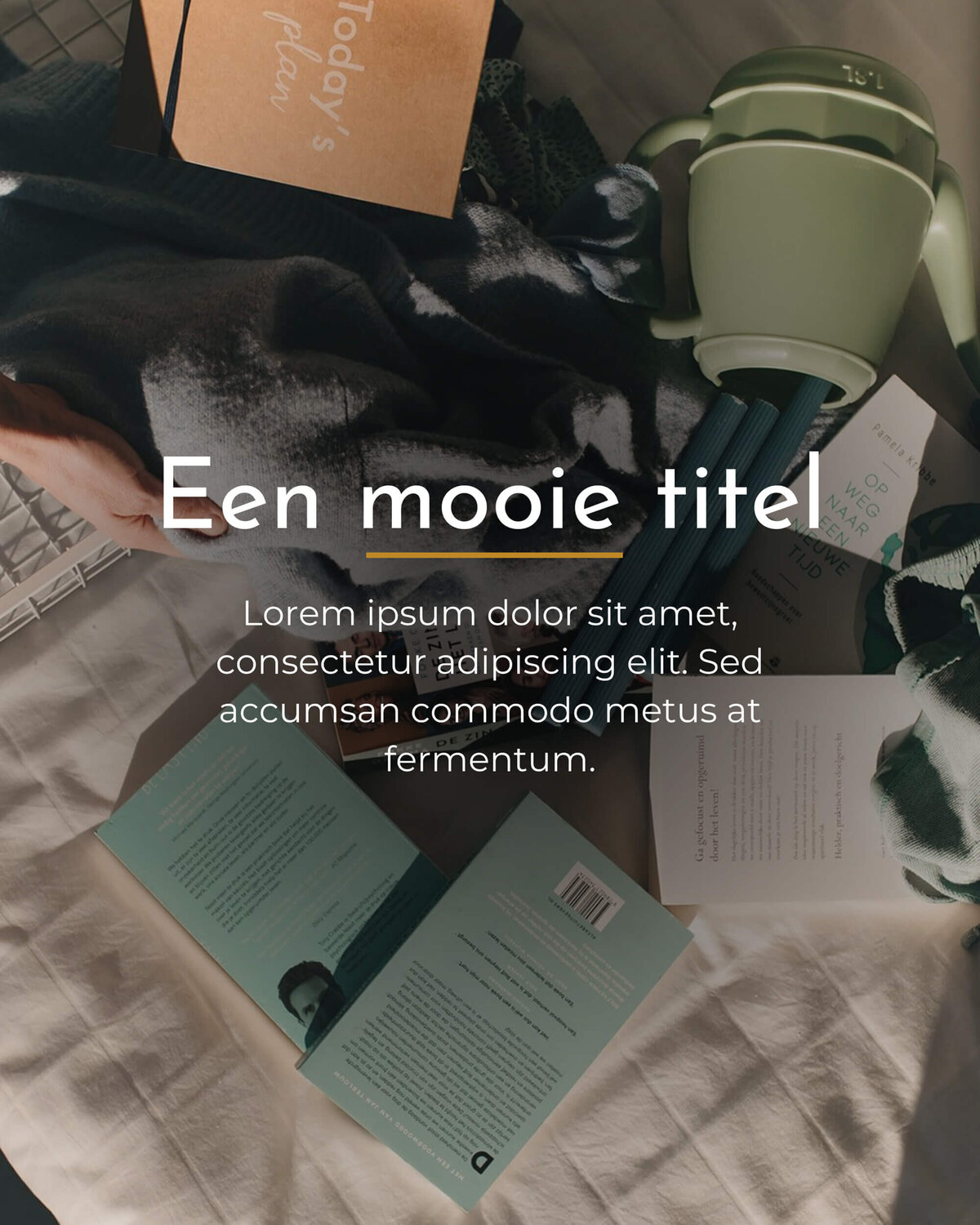 Studio Paoline Kruijssen - portfolio vormgeving - social media templates canva - Firma Opgeruimd - 39