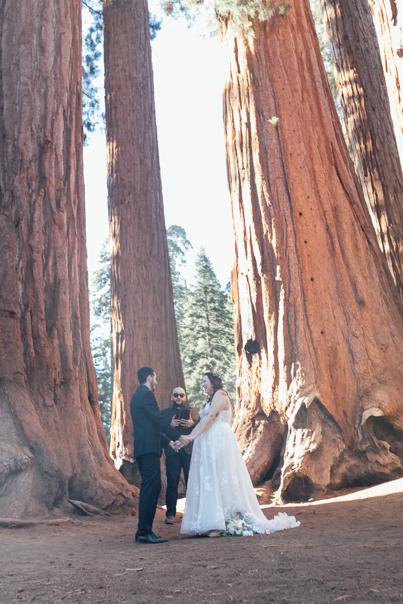 californiaelopement-sequoianationalparkelopement-redwoodelopement-19