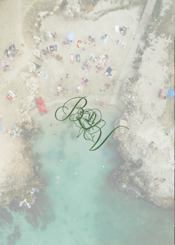 ardent-design-co-custom-branding-travel-photographer