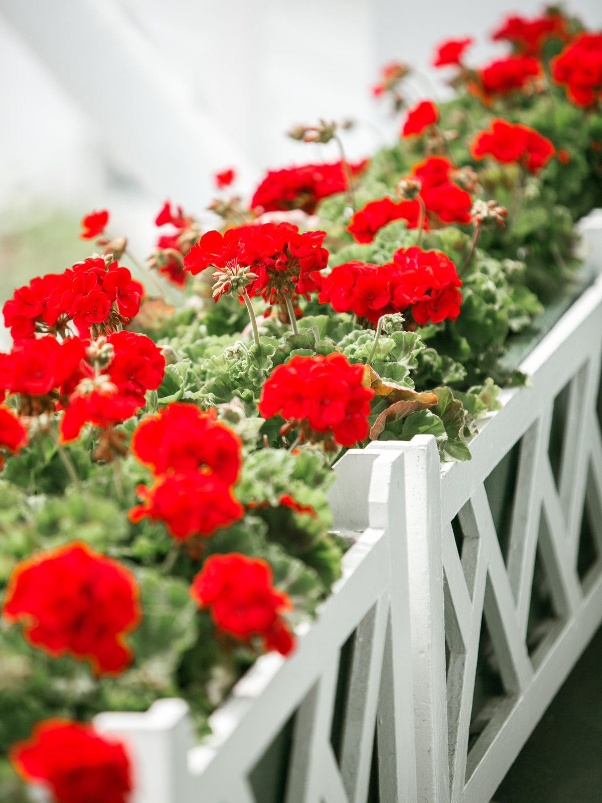 Mackinac Island Grand Hotel Wedding S&M-1023