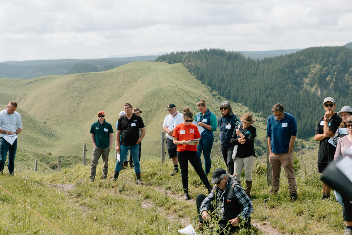 Forestry Fielday-0038