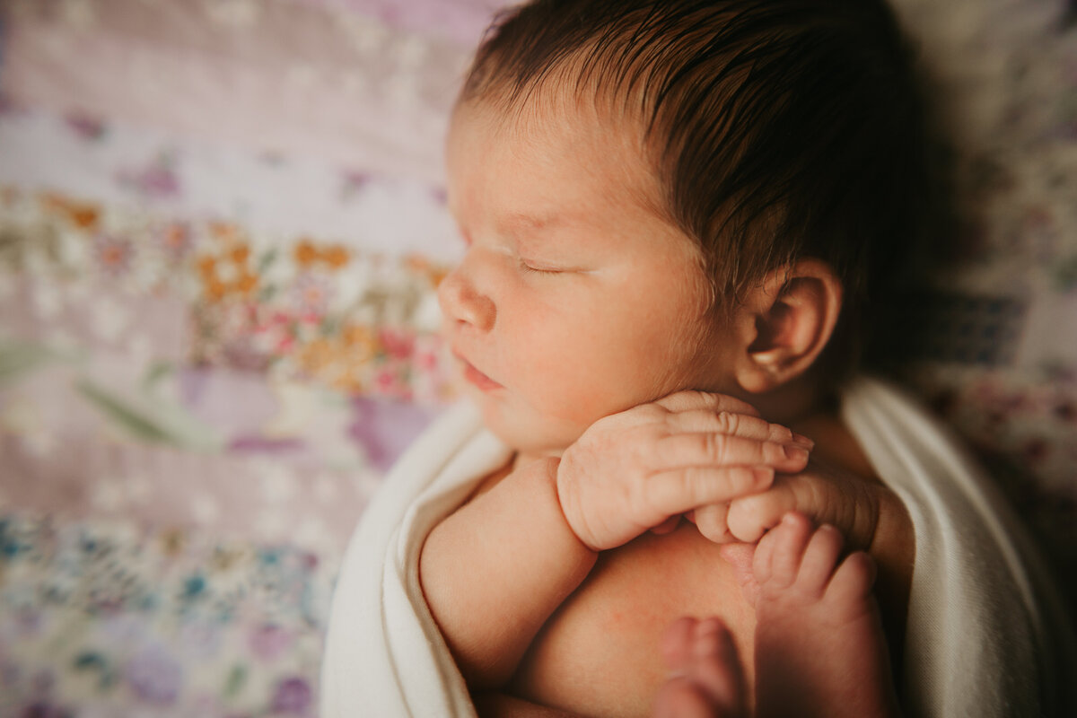 FOXC PHOTOGRAPHY- JOSHUA TEXAS NEWBORN PHOTOGRAPHER - CAVALLO-2