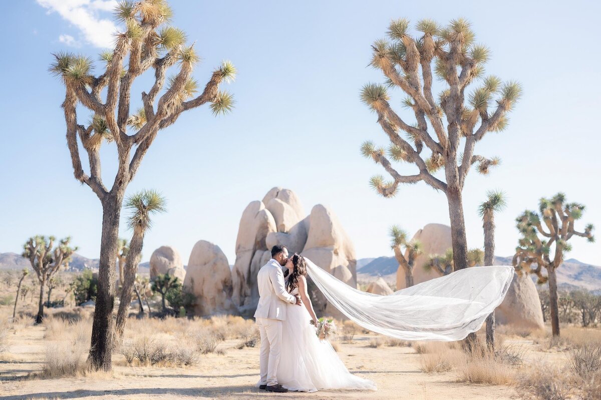 Joshua Tree Elopement Bride and Groom at Cholla Cactus Garden with vibrant sunset blue hour night photo with lanterns.