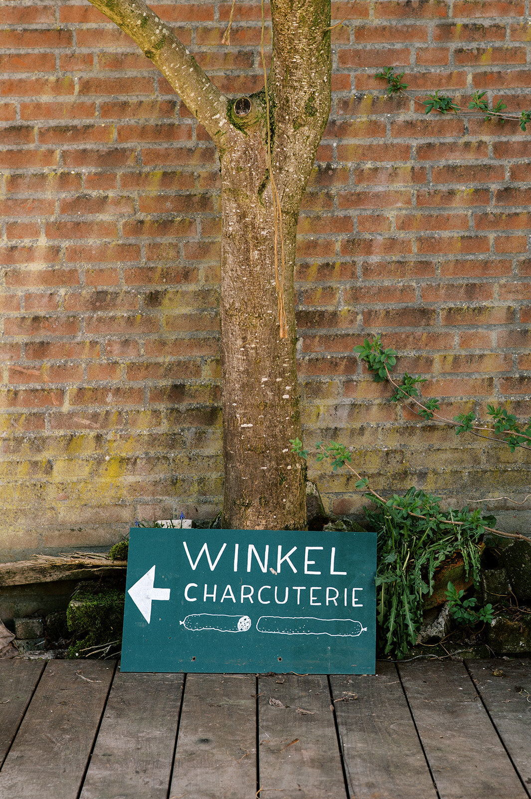 FotostudioFlora_Sengersbroek-14