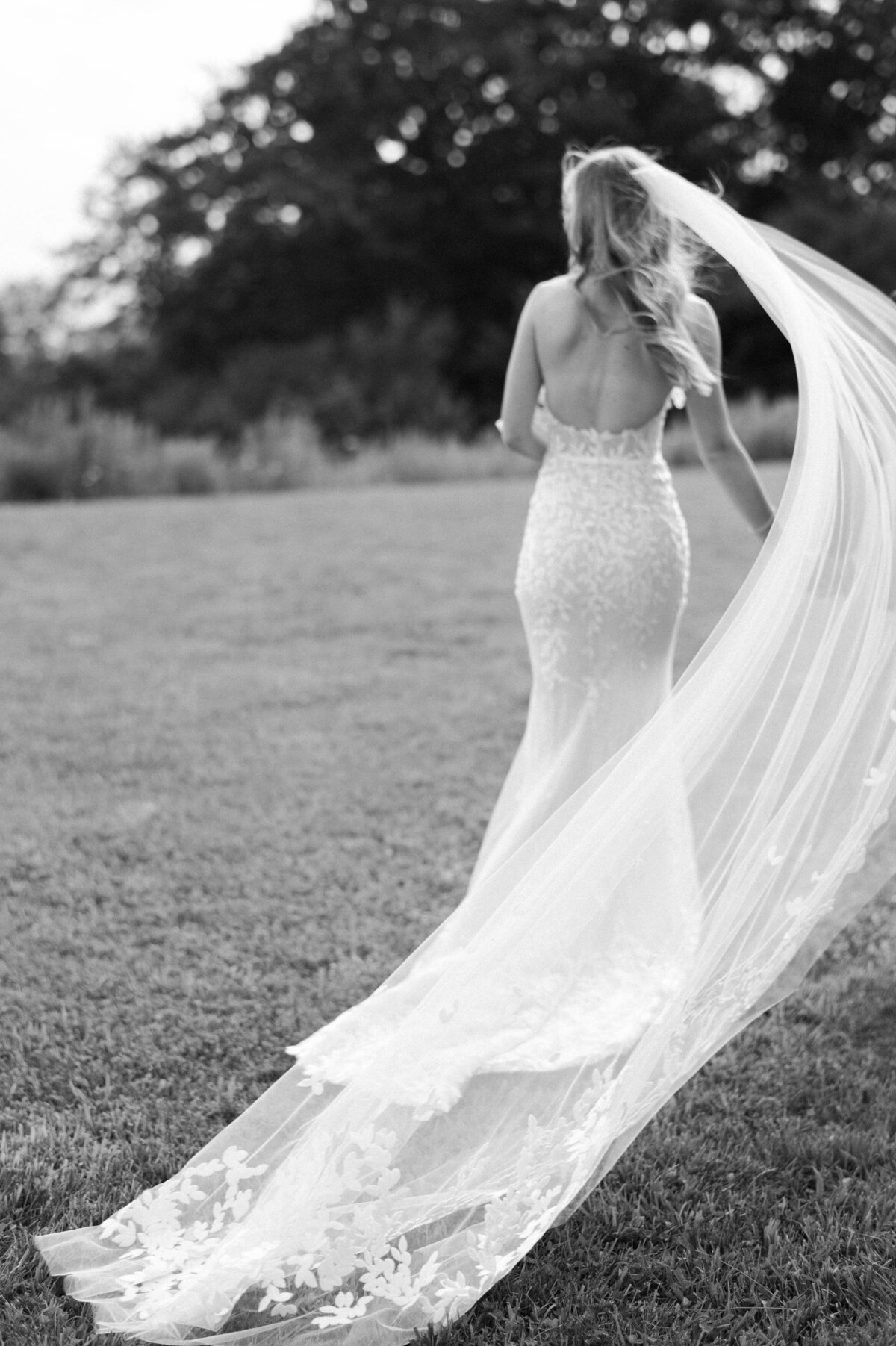 Bride walks away and her veil blows in the wind 