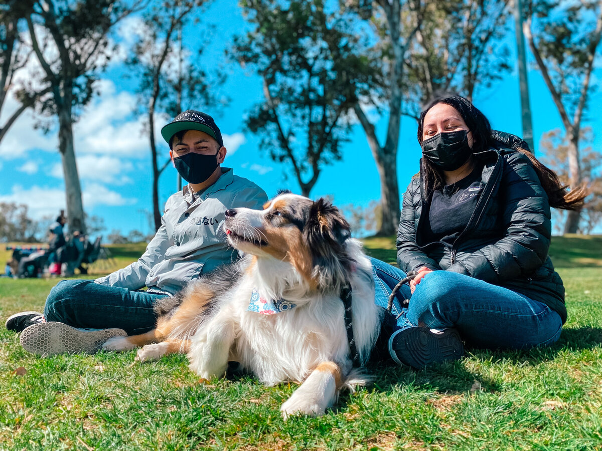 Trained dog with owners