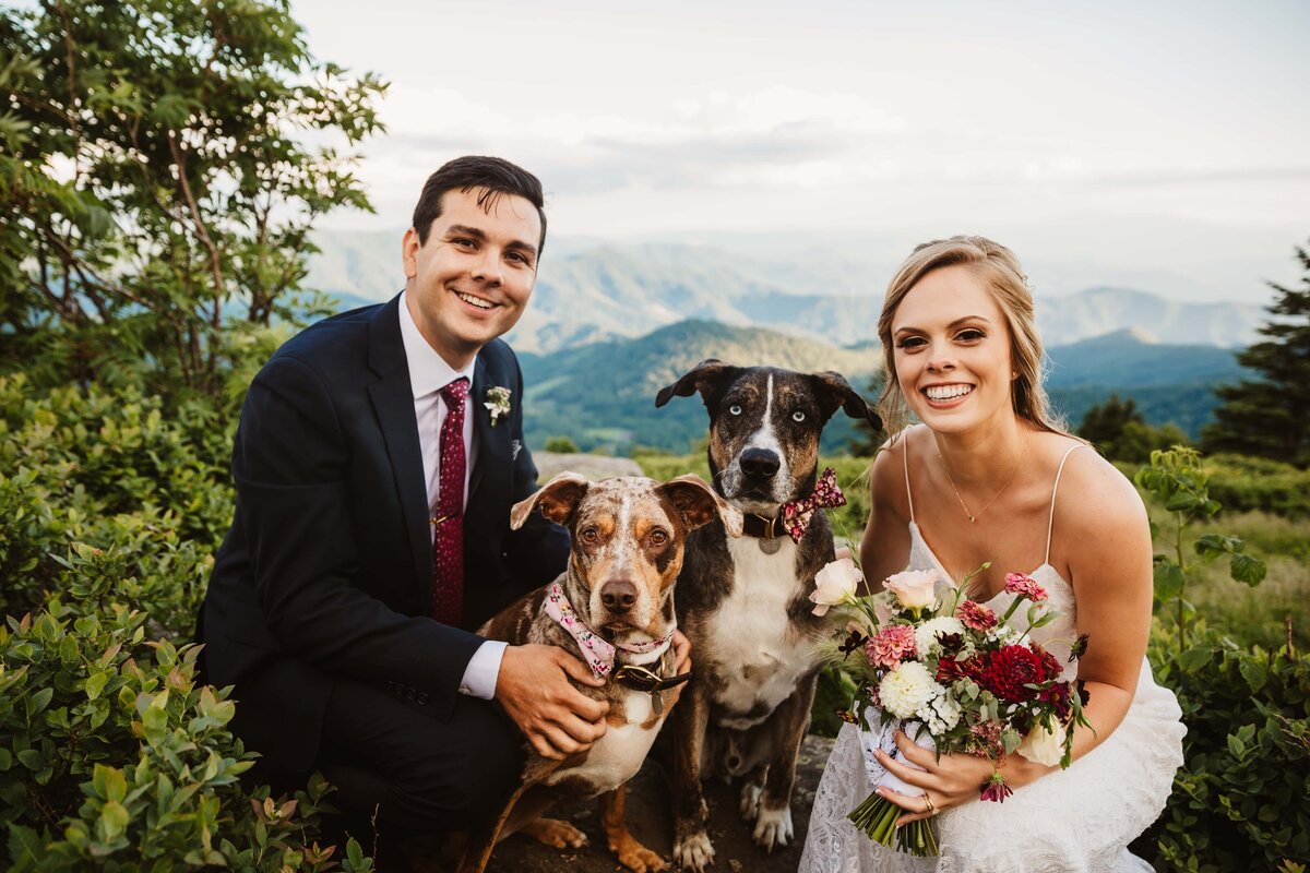 bride-groom-dogs-wedding-day